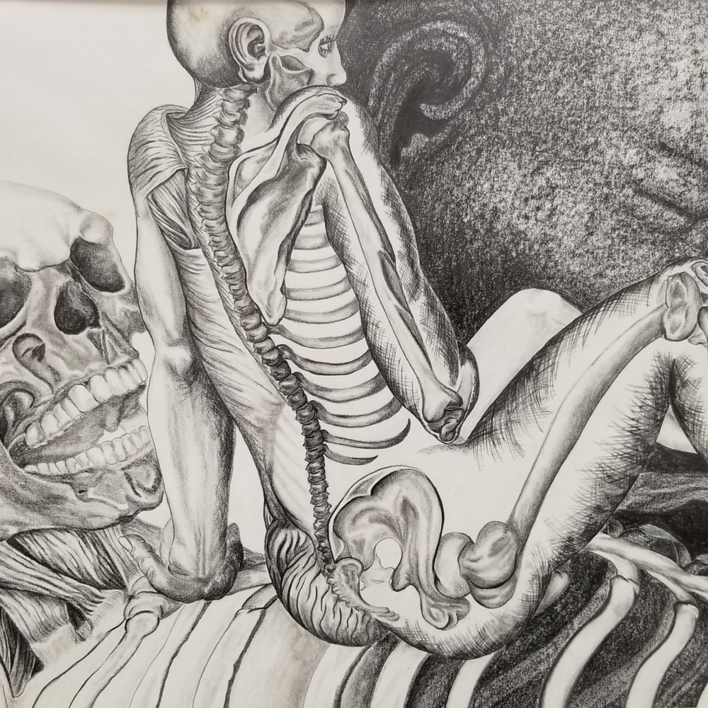 Graphite drawing 24x36 in unframed